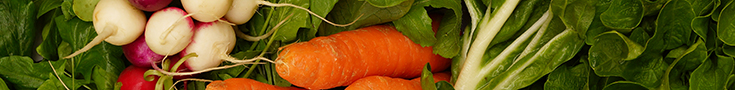 espace-terroir.ch